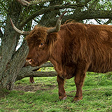 Tiengemeten